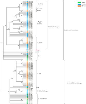 Molecular Characterization of Severe Acute Respiratory Syndrome Coronavirus 2 Isolates From Central Inner Sardinia